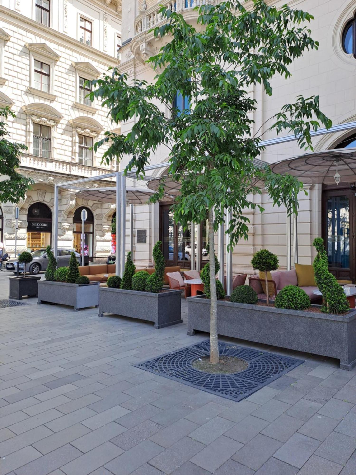 Cute Downtown Apartment بودابست المظهر الخارجي الصورة